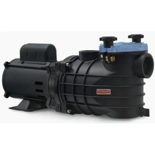 Carregar imagem no visualizador da galeria, Bomba Para Piscina Schneider Eko 1 Cv Monofásica 110v/220v com Pré-Filtro
