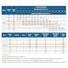 Carregar imagem no visualizador da galeria, Bomba Para Piscina Schneider Eko 1 Cv Monofásica 110v/220v com Pré-Filtro
