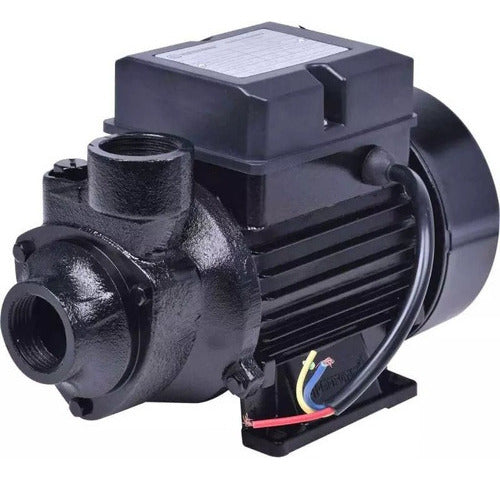 Bomba D Água Periférica 1/2 Hp Mono  Matsuyama Pt 220v