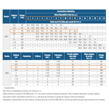 Carregar imagem no visualizador da galeria, Bomba Para Piscina Schneider Eko 1/2 Cv Monofásica 110v/220v com Pré-Filtro
