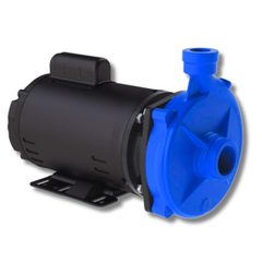Bomba Centrífuga Monoestágio Bombasa BCG-158 3/4 CV Trifásica 220V/380V